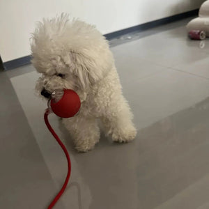 Light Up Luminous Pet Chew Ball with Durable Braided Ropecolor