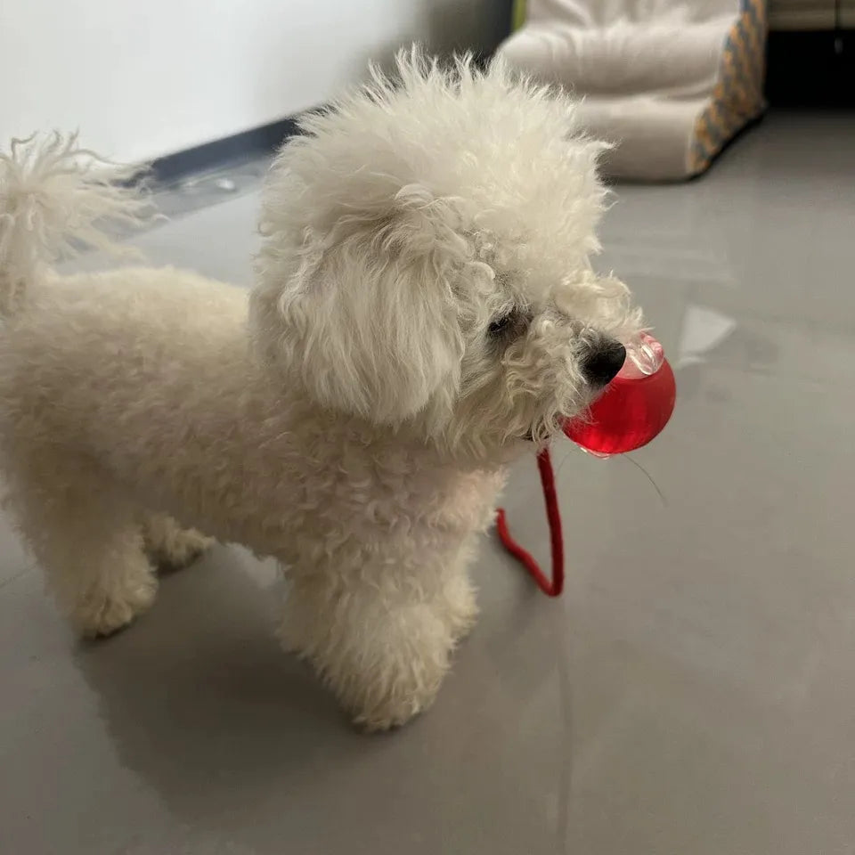 Light Up Luminous Pet Chew Ball with Durable Braided Ropecolor