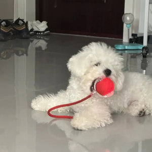 Light Up Luminous Pet Chew Ball with Durable Braided Ropecolor