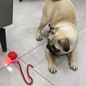 Light Up Luminous Pet Chew Ball with Durable Braided Ropecolor