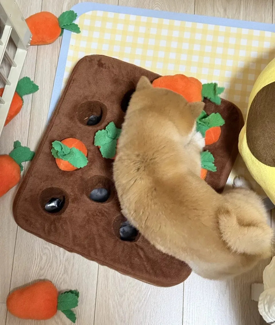 Carrot Farm Interactive Snuffle Mat Dog Puzzle Toy