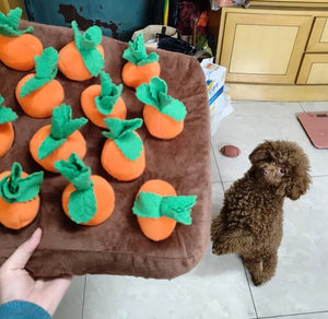 Carrot Farm Interactive Snuffle Mat Dog Puzzle Toy