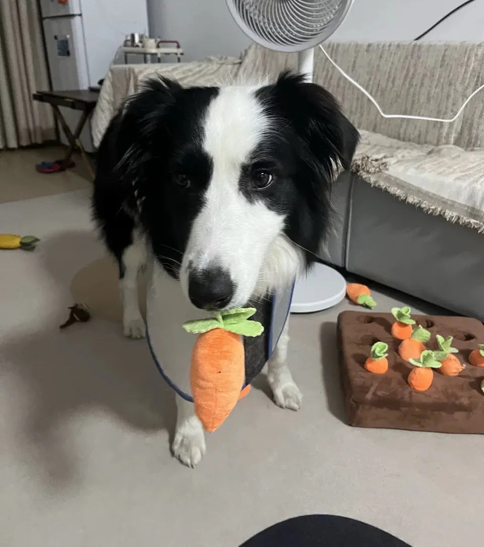 Carrot Farm Interactive Snuffle Mat Dog Puzzle Toy