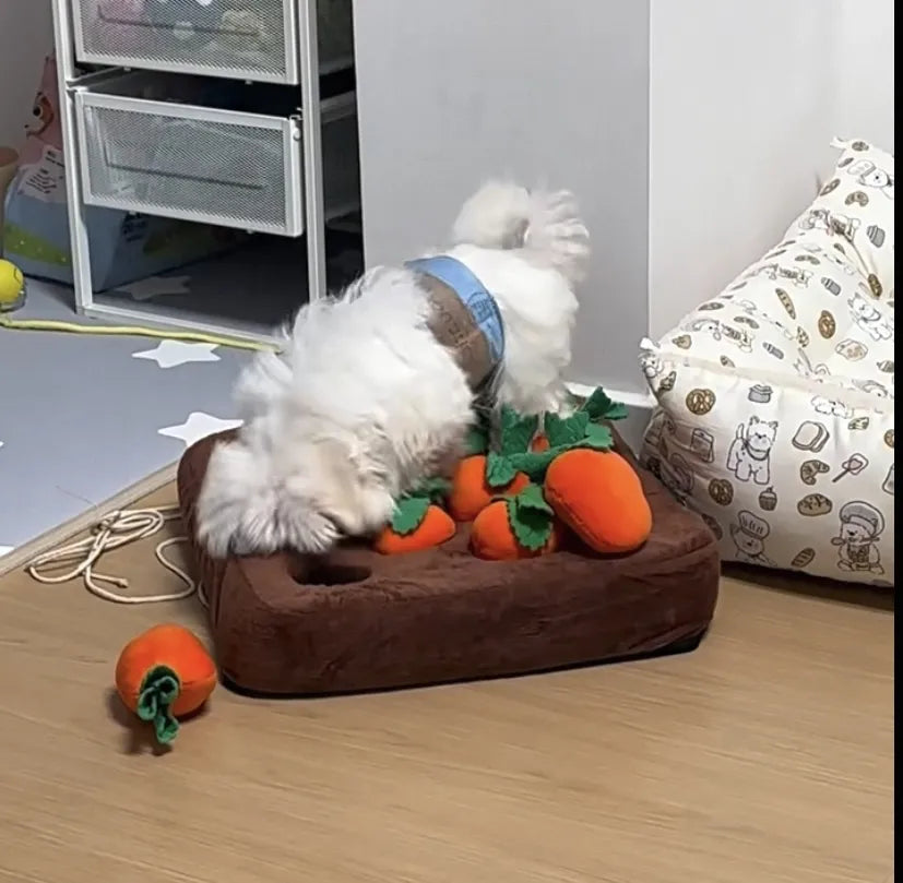 Carrot Farm Interactive Snuffle Mat Dog Puzzle Toy