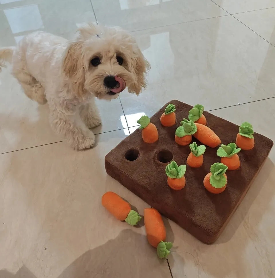 Carrot Farm Interactive Snuffle Mat Dog Puzzle Toy
