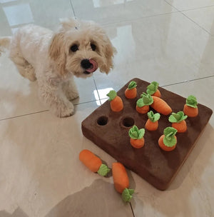 Carrot Farm Interactive Snuffle Mat Dog Puzzle Toy