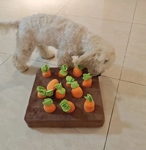 Carrot Farm Interactive Snuffle Mat Dog Puzzle Toy
