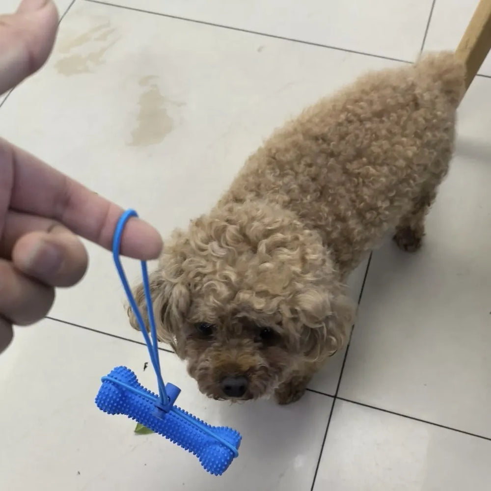 Tamecare Interactive Dental Tug Bone Dog Toy