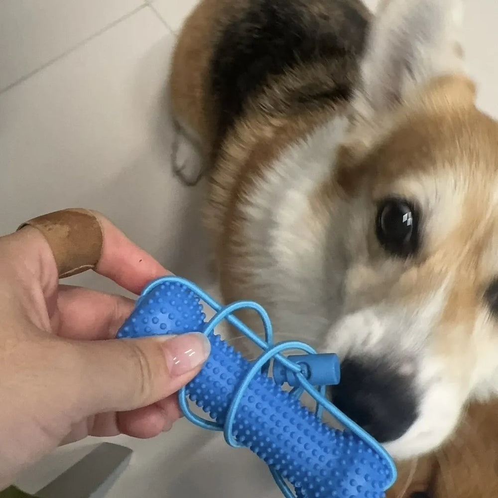 Tamecare Interactive Dental Tug Bone Dog Toy
