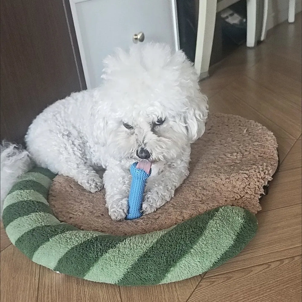 Tamecare Interactive Dental Tug Bone Dog Toy
