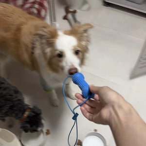 Tamecare Interactive Dental Tug Bone Dog Toy