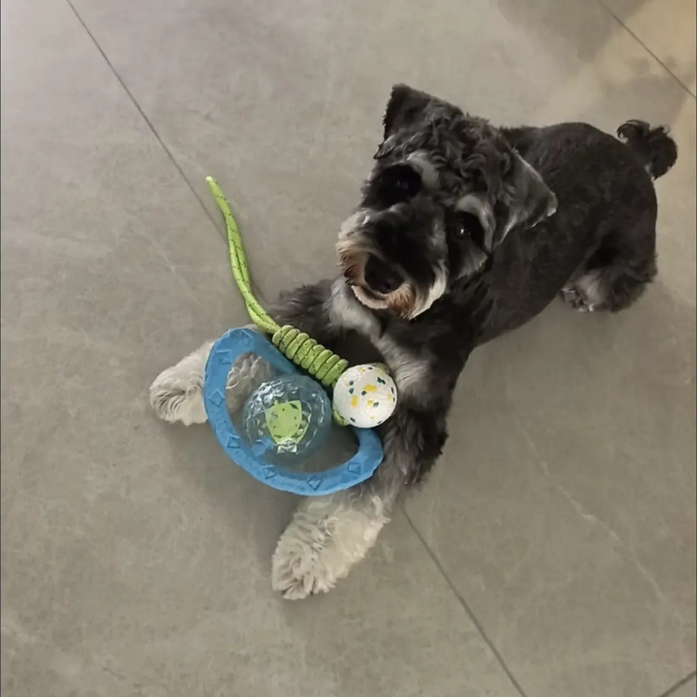 Tamecare Interactive Rattle Frisball Dog Toy