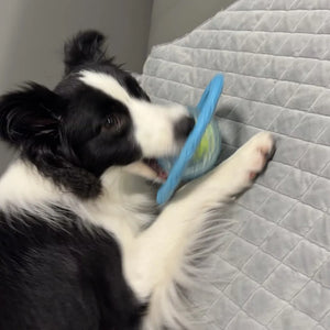 Tamecare Interactive Rattle Frisball Dog Toy