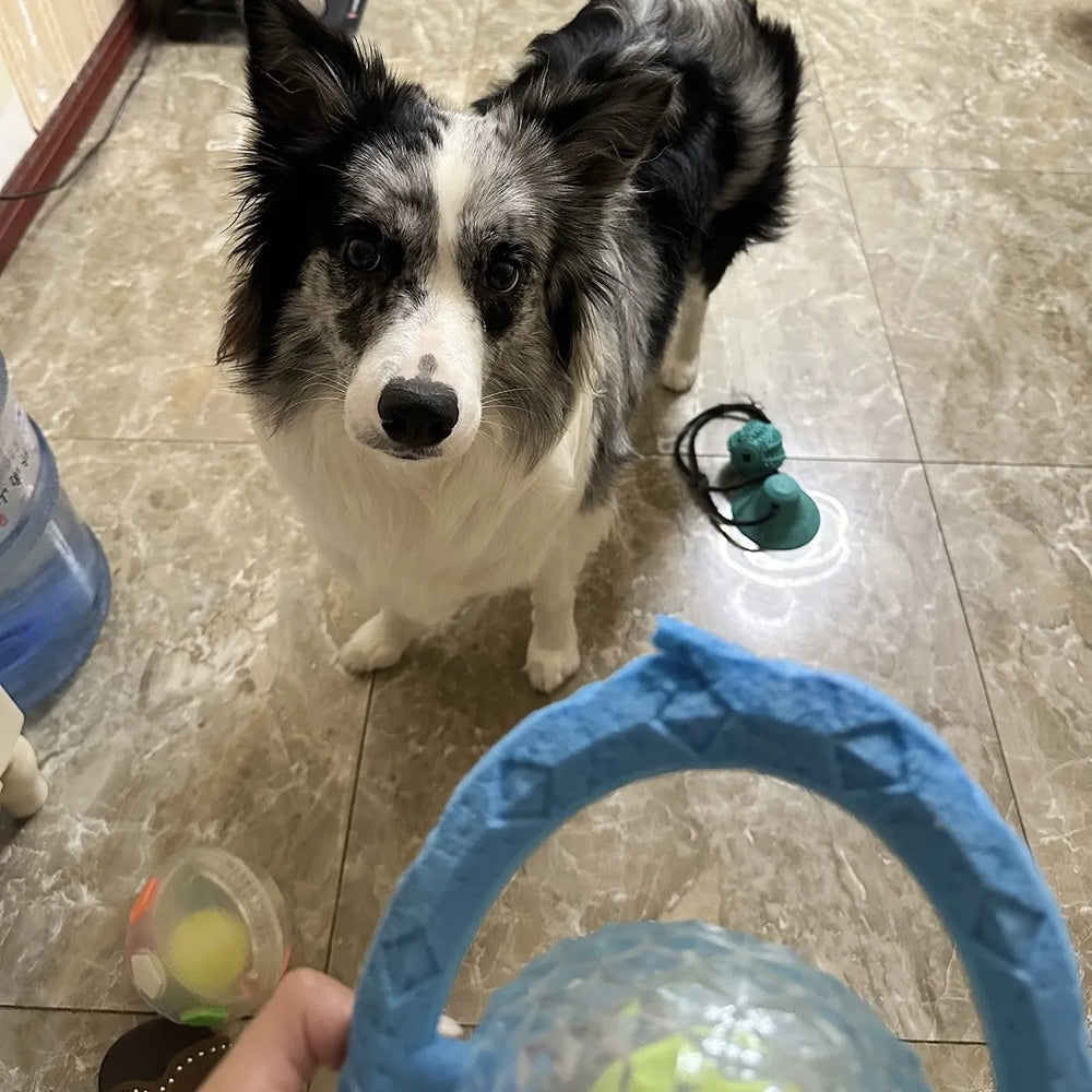 Tamecare Interactive Rattle Frisball Dog Toy
