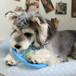 Tamecare Interactive Rattle Frisball Dog Toy