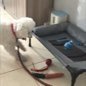 Tamecare Interactive Rope Motion Ball Dog Toy
