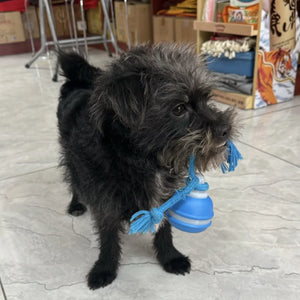 Tamecare Interactive Rope Motion Ball Dog Toy