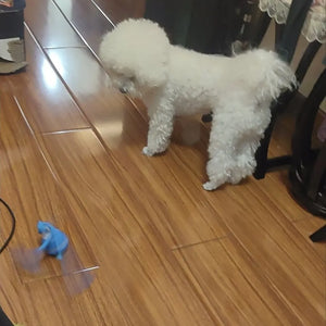 Tamecare Interactive Rope Motion Ball Dog Toy