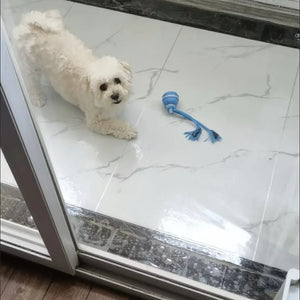 Tamecare Interactive Rope Motion Ball Dog Toy
