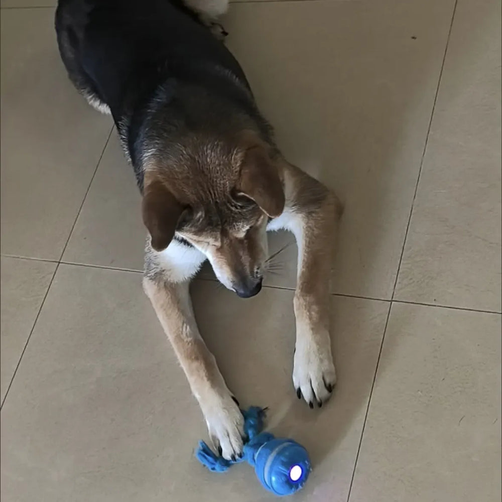 Tamecare Interactive Rope Motion Ball Dog Toy