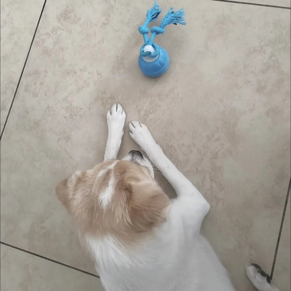 Tamecare Interactive Rope Motion Ball Dog Toy