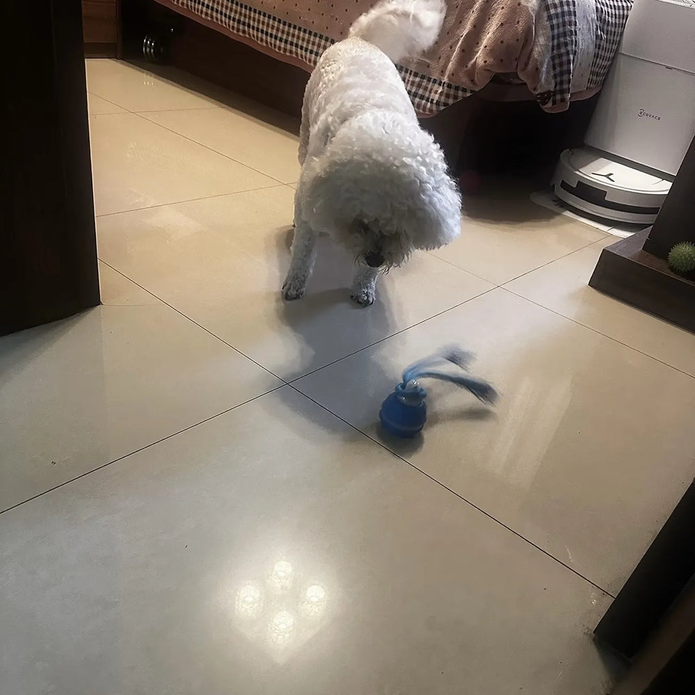Tamecare Interactive Rope Motion Ball Dog Toy