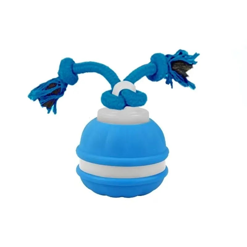 Tamecare Interactive Rope Motion Ball Dog Toy