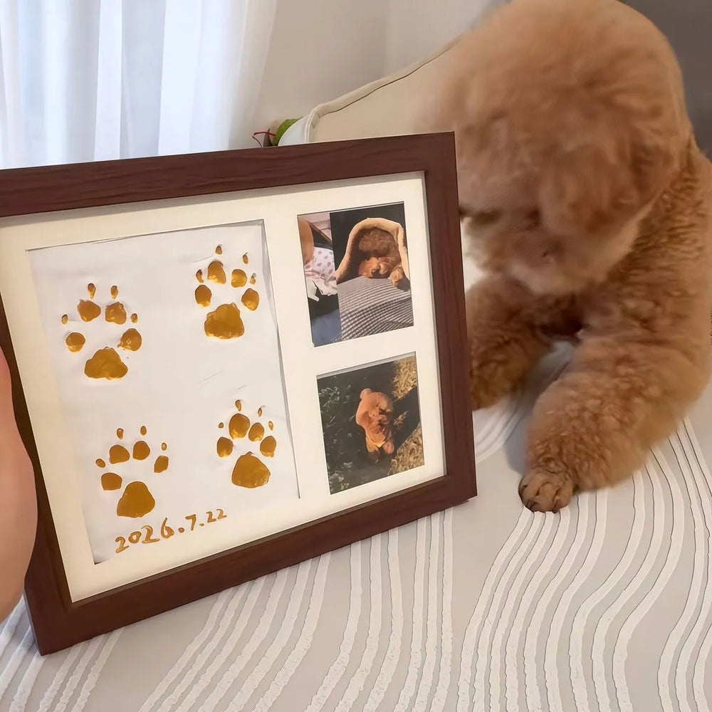 Pet Paw Print Picture Frame, DIY Dog Cat Paw Keepsake Photo Frame