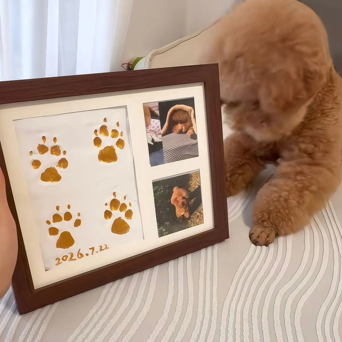 Tamecare Pet Paw Print Picture Frame, DIY Dog Cat Paw Keepsake Photo Frame