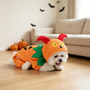 Tamecare Pumpkin Monster Dog Halloween Costume