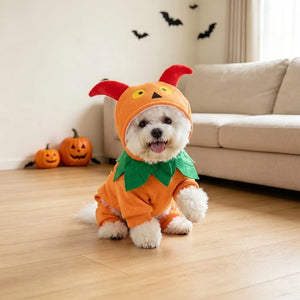Tamecare Pumpkin Monster Dog Halloween Costume