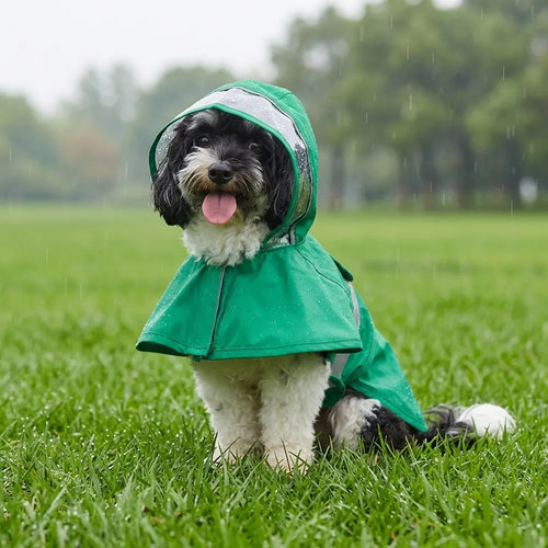 TameCare Frog Waterproof Dog Raincoat with Reflective Strip & Leash Hole - front view