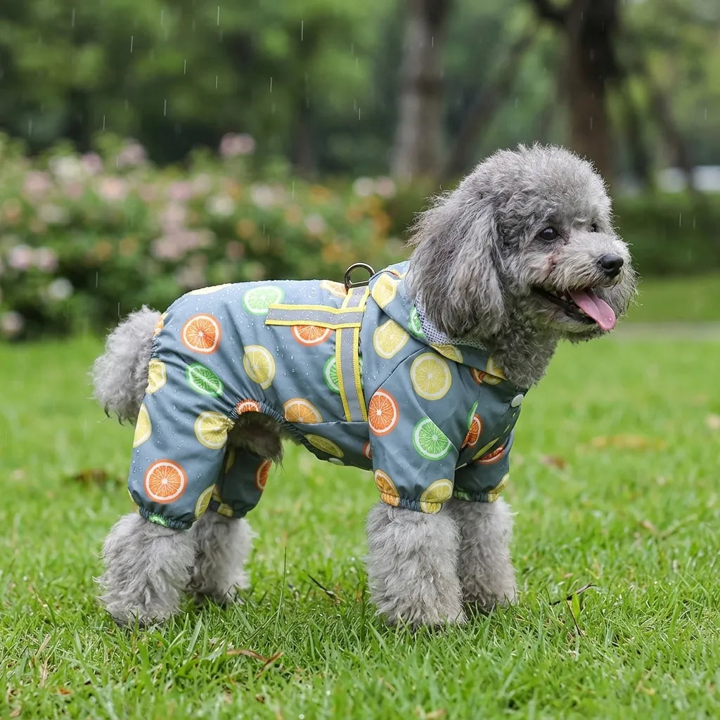 Lemon Print Dog Raincoat With Hood