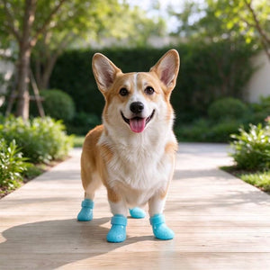 Tamecare Comfy Pet Hole Shoes for Dogs
