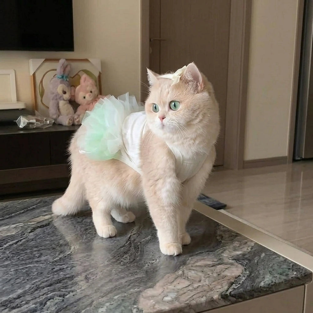 Tamecare Cute Tutu Cat Dress