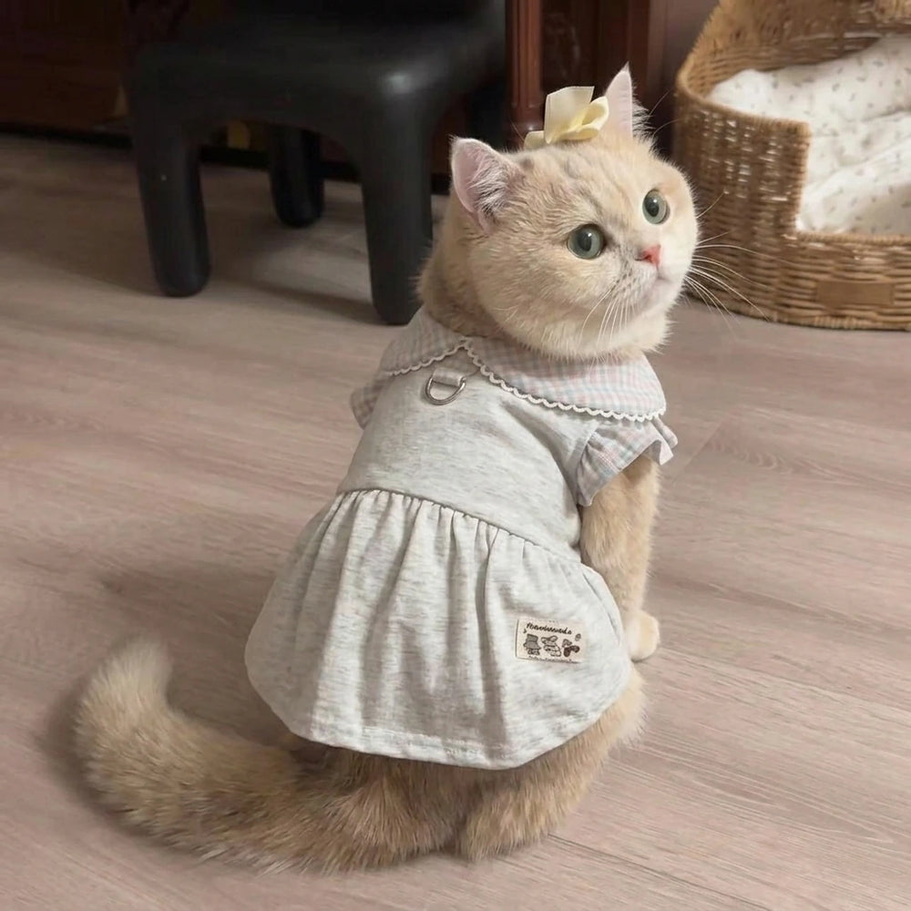 Tamecare Gray Ruffle Collar Cat Dress