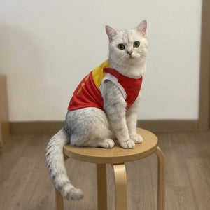 Tamecare Fast Food Costume Pet Vest