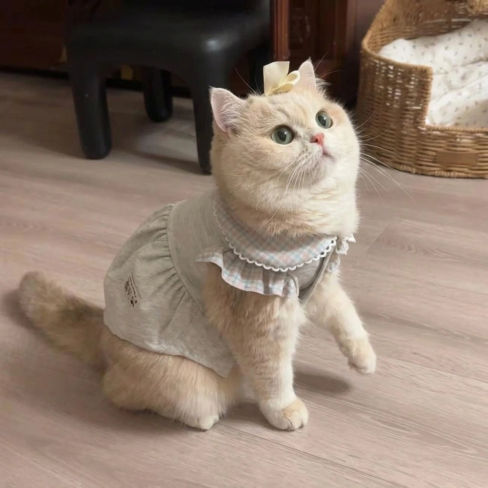 Tamecare Gray Ruffle Collar Cat Dress