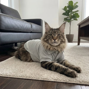 Tamecare Gray Polo Pet Shirt