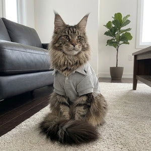 Tamecare Gray Polo Pet Shirt