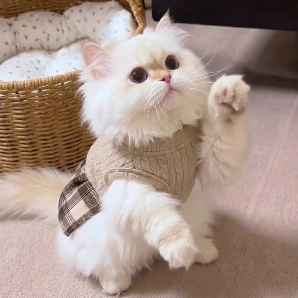 Tamecare Beige Cable Knit Plaid Cat Dress