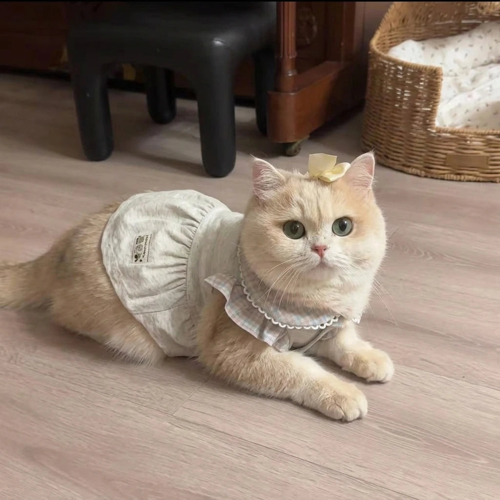 Tamecare Gray Ruffle Collar Cat Dress