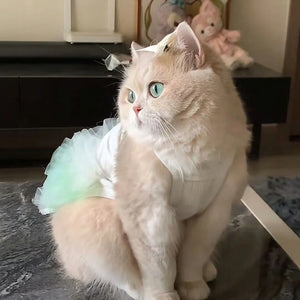 Tamecare Cute Tutu Cat Dress
