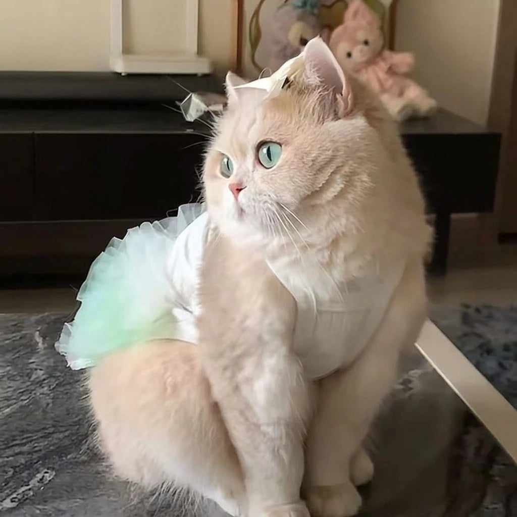 Tamecare Cute Tutu Cat Dress