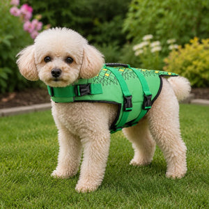 Green Dragon Tail Dog Life Jacket