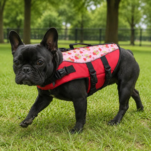 Red Strawberry Print Dog Life Jacket