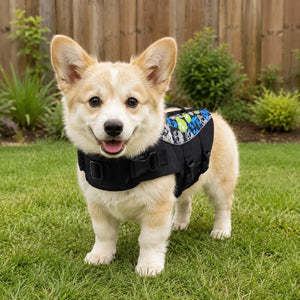 Black Skull Print Dog Life Jacket