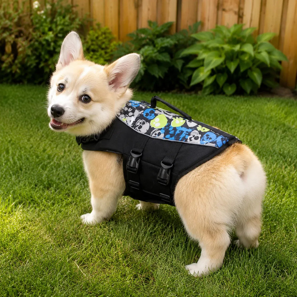 Black Skull Print Dog Life Jacket