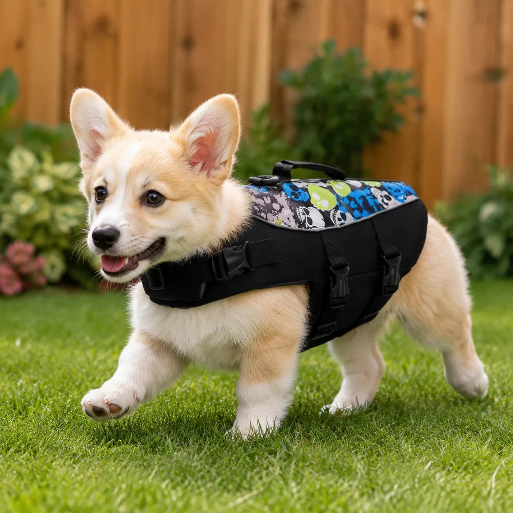 Black Skull Print Dog Life Jacket