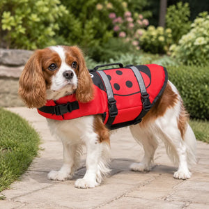 Red Ladybug Dog Life Jacket
